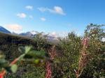 Tundra Wilderness Tour